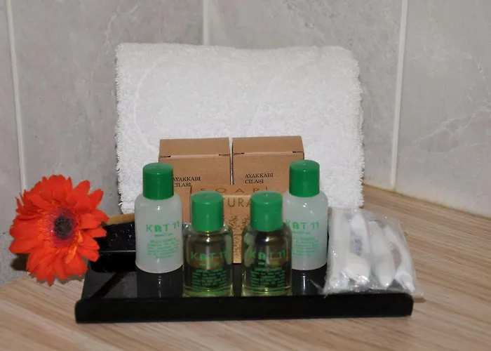 Appart hôtel Kat11 *